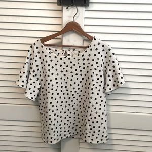 Anthropologie Postcard Polka Dot Top Size Medium